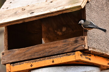 La Plaine 24 D&eacute;cembre 2023