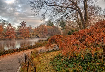 Photo sur Plexiglas Pont de Gapstow Gapstow Bridge in Central Park,autumn
