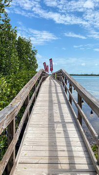 Pier on South Pine Channel in Florida