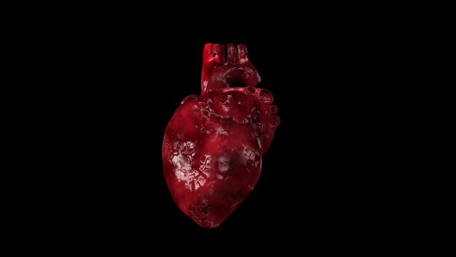 3D Animation of a Beating Human Heart Rotating with Alpha Channel - Medical Visualization