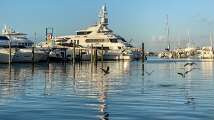 Marina in Key West Florida