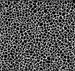 black and white background, abstract template, surface design