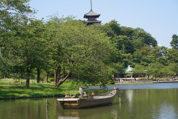 池と鴨がいる日本の横浜の日本庭園の風景