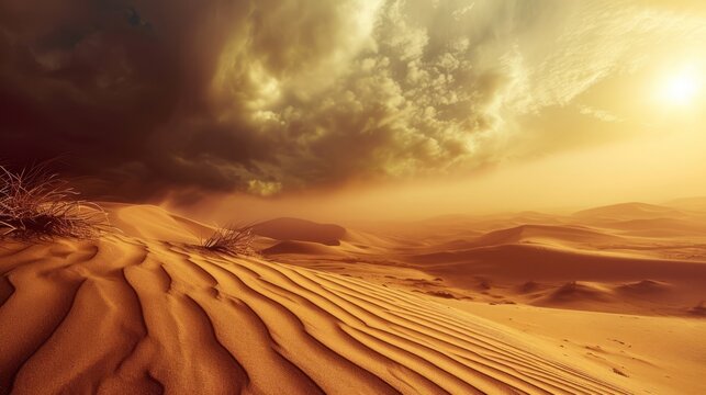 sand storm dunes in the desert of sahara. wallpaper background
