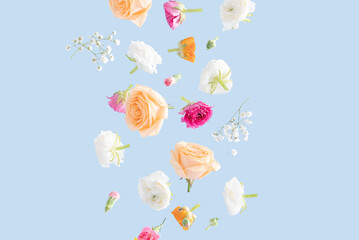 Vibrant Spring Flowers levitate on a pastel blue background.Background perfect for Spring, Summer,...