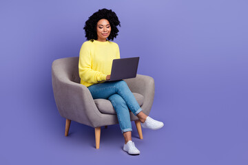 Full size photo of serious busy woman sit on armchair look at laptop chatting at distance work isolated on violet color background
