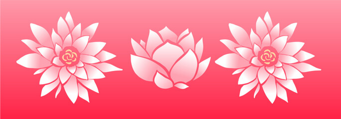 Lotus flower, pink, vector art,