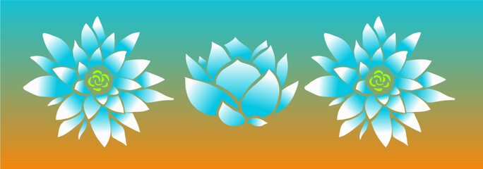 Lotus flower, pink, vector art,