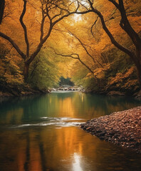 sunset on the stream