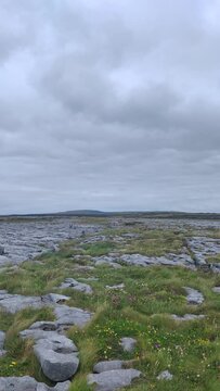 The Burren, Irish rock formations, cloudy day, clints and grikes