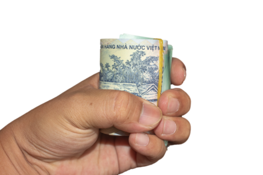 Hand holding a vietnamese dong