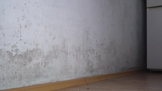 Mold in the home. Mould grows best in damp and poorly ventilated areas, and reproduces by making spores