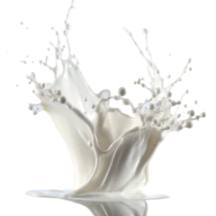 Rolgordijnen Milk splash isolated on blue background. Natural dairy product, yogurt or cream in crown splash with flying drops. © Yash
