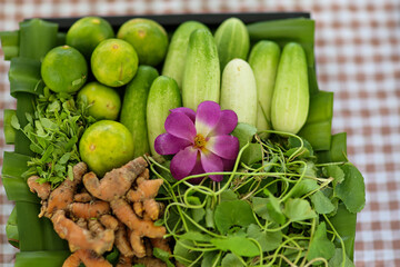 Plant Structure of Flowers, Fruits and Seeds in Laboratory.