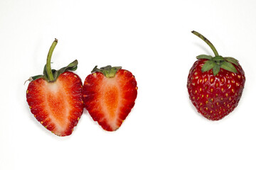 Plant Structure of Flowers, Fruits and Seeds in Laboratory.