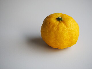 柑橘類　柚子の実