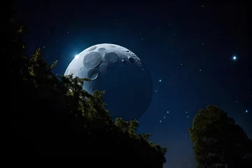 Crédence de cuisine en verre imprimé Pleine Lune arbre moon in space