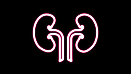 Glowing Human kidney icon. Neon kidney icon. Urinary system part symbol. Medicine icons.