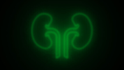 Urinary system part symbol. neon kidney icon. glowing kidney icon. kidney line icon. Elements of Medicine in neon style icons.