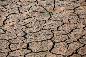 Dry cracked earth background. Global warming and climate change concept.