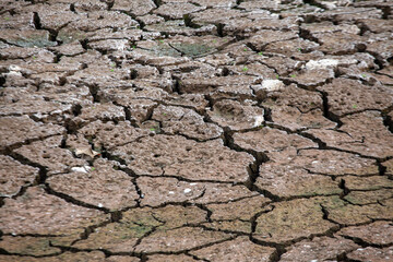 Dry cracked earth background. Global warming and climate change concept.