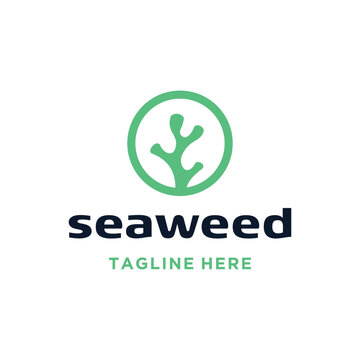 Seaweed Coral With Simple Circles For Marine Plant Inspiration Logo Design.