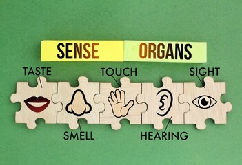 Puzzle with five Sense organs icons namely sight, hearing, smell, teste and touch. basic 5 human...