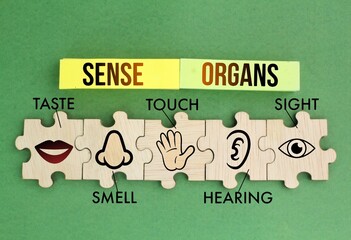 Puzzle with five Sense organs icons namely sight, hearing, smell, teste and touch. basic 5 human...