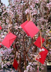 Close up shot of many red paper envelope hanging on tree with pink flowers