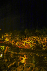 ライトアップされた秋の香嵐渓