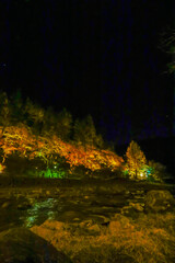 ライトアップされた秋の香嵐渓