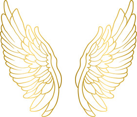 Obraz premium Golden angel wings, gold wings 