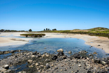 Griffith Island, Port Fairy, Victoria Australia グリフィス島、ポートフェアリー、ビクトリア州　オーストラリア