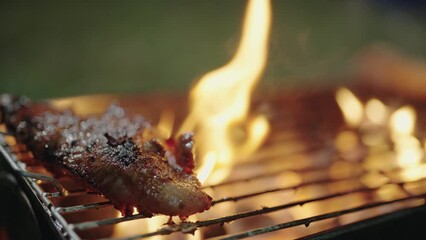 Cooked juicy steak meat beef brushed A steak on a barbecue fire grill