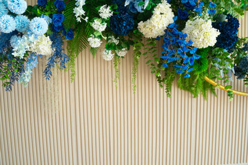 Colorful flowers blooming that decorated on lath wall background .Delicate Clambering Plant Blossom Pastel Flower. Elegant Arrangement Floristics.