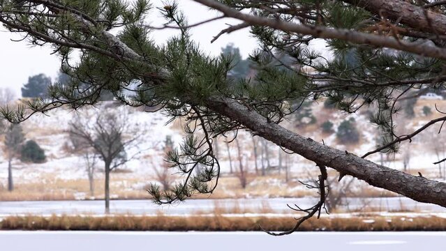 Boulder Colorado Urban Landscape, Winter Snow Frozen Lake