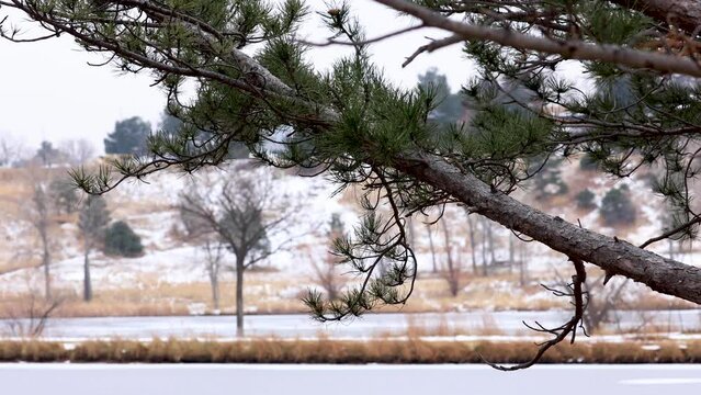 Snowy Landscape in Colorado, Frozen Over Lake and Urban Development