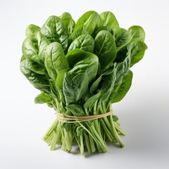 Obraz premium Bunch Spinach Leaves On White Background, Illustrations Images