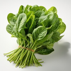 Bunch Spinach Leaves On White Background, Illustrations Images