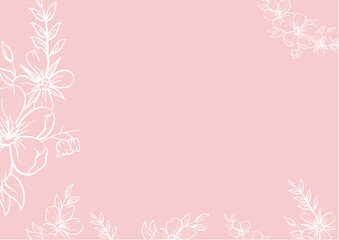 Romantic white flowers on pink background