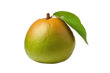 Sapote Serenade Isolated On Transparent Background