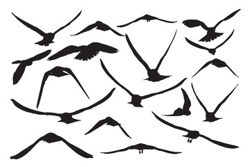 Flying falcons. Vector images. White background.