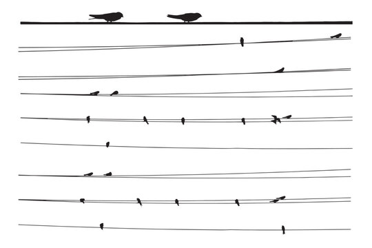 Birds on electric wire. Vector images. 