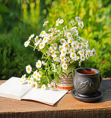 Natural background with chamomile flowers