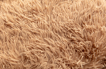 Beige shag carpet as an abstract background. Texture