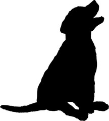 Dog sitting puppy silhouette Breeds Bundle Dogs on the move. Dogs in different poses.
The dog jumps, the dog runs. The dog is sitting. The dog is lying down. The dog is playing
