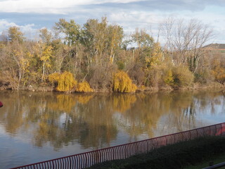 Peque&ntilde;a isla sobre el rio en logro&ntilde;o