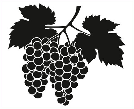 recommend clip art: Grapes silhouette, Bunch of grapes with leaf, Grapes fruit silhouette,  Grape silhouette with leaves