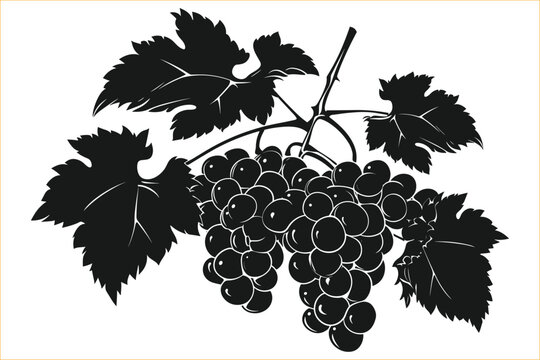 Grapes silhouette, Bunch of grapes with leaf, Grapes fruit silhouette,  Grape silhouette with leaves