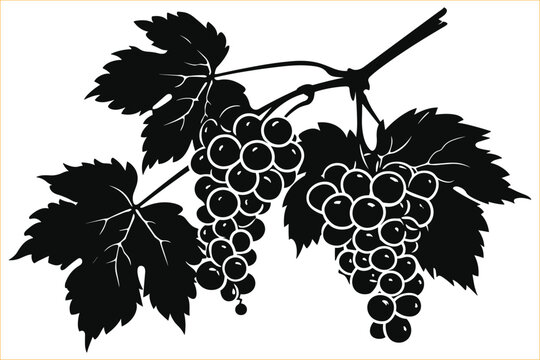 recommend clip art: Grapes silhouette, Bunch of grapes with leaf, Grapes fruit silhouette,  Grape silhouette with leaves